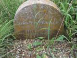 image of grave number 250151